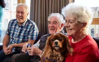 The benefits of pets in older age Image