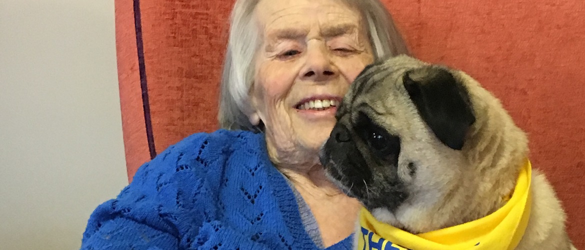 animal therapy at care homes
