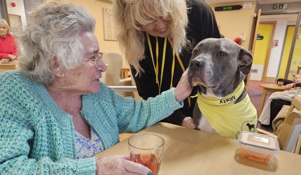 Misty the Therapy Dog Brings Joy to Residents