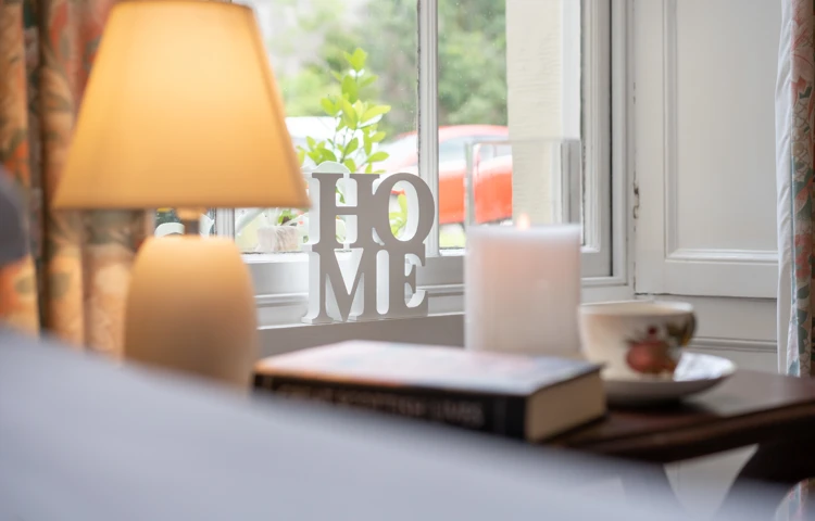 Home Ornament In Sash Window