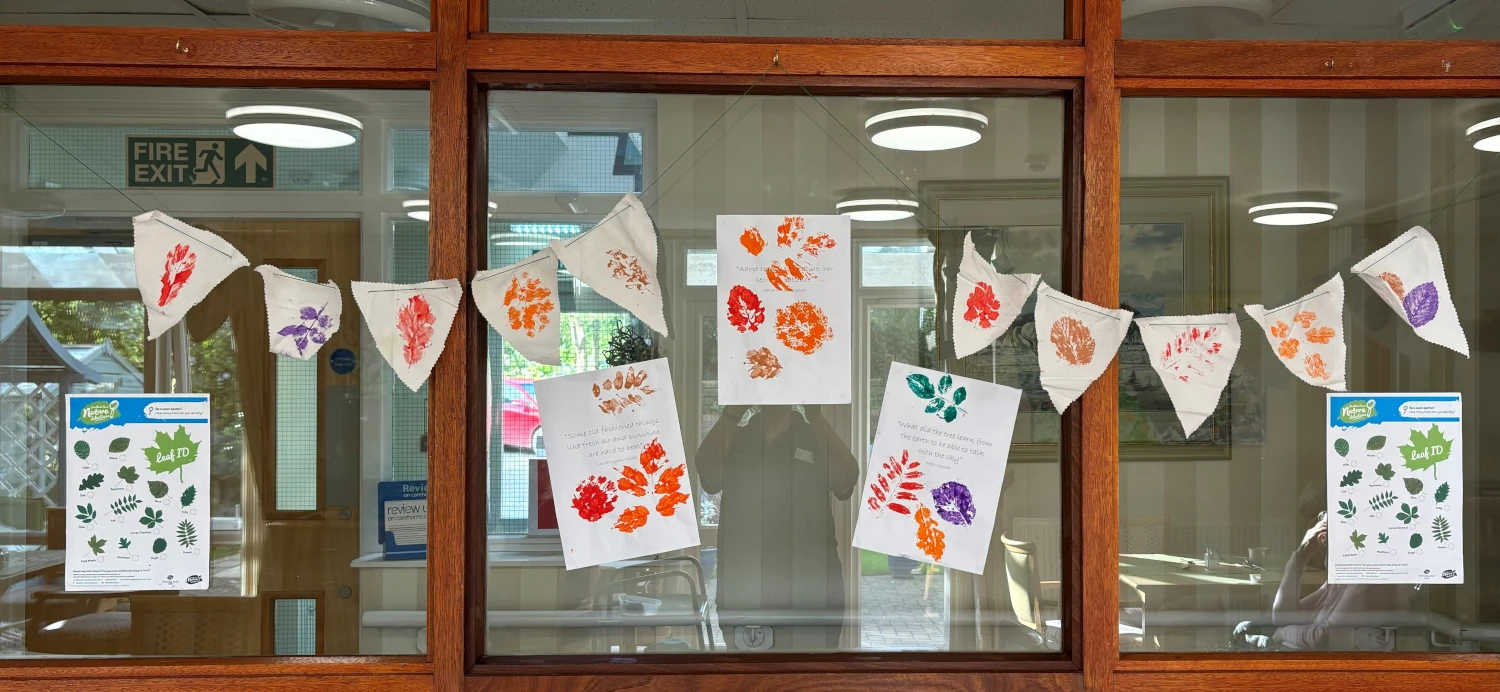 Leaf paintings that the residents did when Libby came to visit