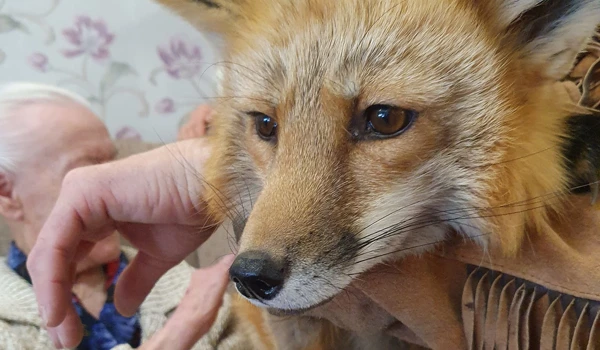 World Animal Day – How Animals Enrich Residents' Lives
