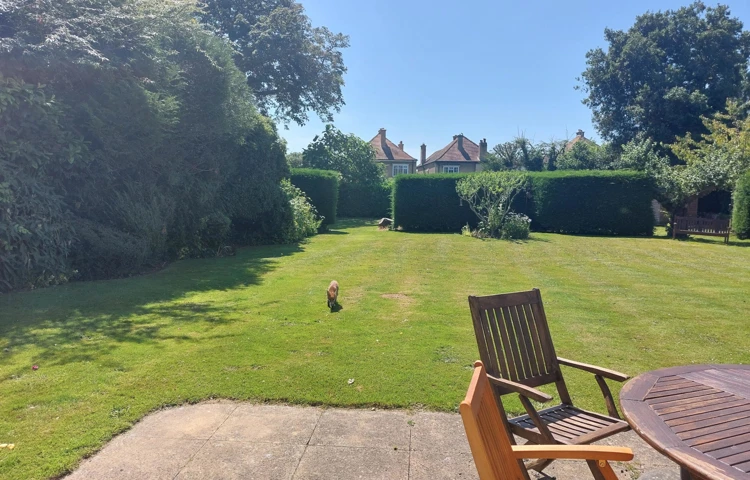 Large, Spacious Garden With A Visiting Fox